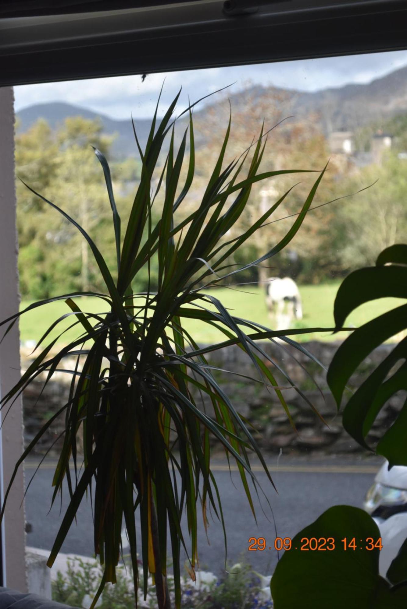 Ty Alban Villa Ffestiniog Exterior foto